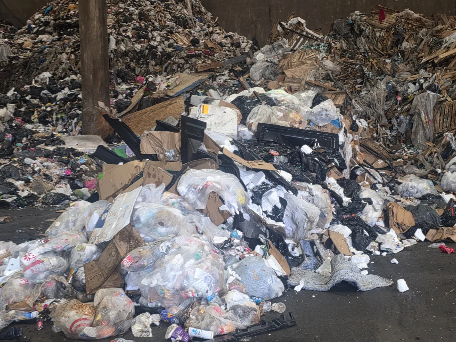 Metro Waste Solutions front-load service in the Philadelphia metro area — real fleet photo 22